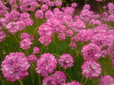 SN3J4458.jpg