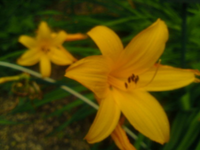 SN3J4440.jpg