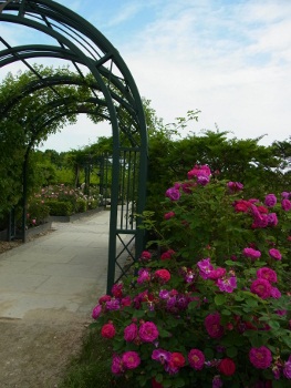 RIMG0712 (263x350).jpg