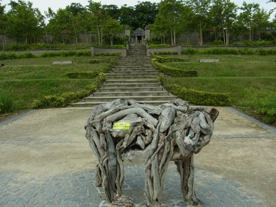 RIMG0717 (400x300).jpg
