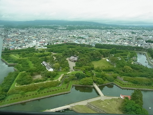 RIMG0877 (500x375).jpg
