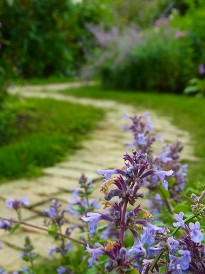RIMG1278 (300x400).jpg
