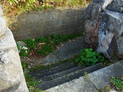 RIMG2270 (400x300).jpg