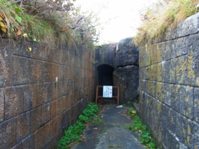 RIMG2267 (400x300).jpg