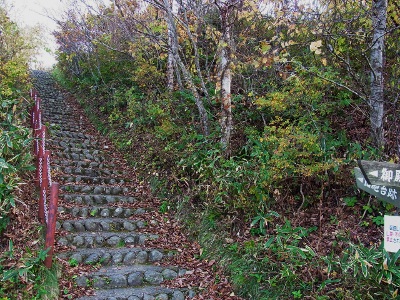 RIMG2277 (400x300).jpg