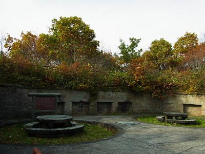 RIMG2248 (400x300).jpg