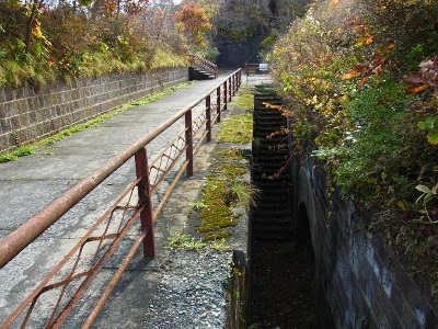 RIMG2250 (400x300).jpg