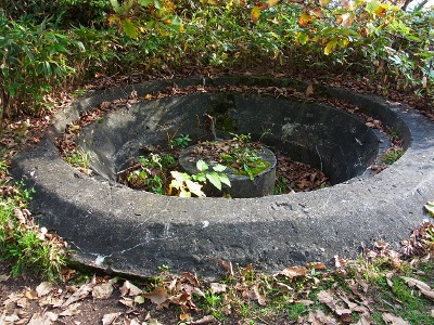 RIMG2260 (400x300).jpg