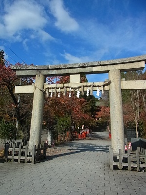 RIMG2415 (300x400).jpg