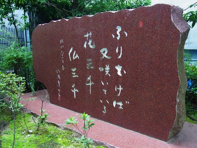 RIMG2464 (400x300).jpg