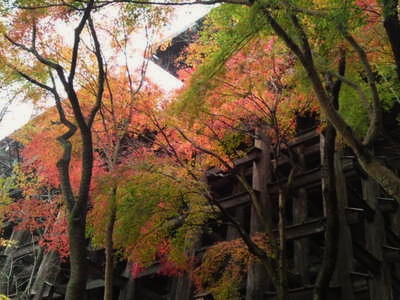 chisama-2011-02-08T00_22_47-1-thumbnail2.jpg