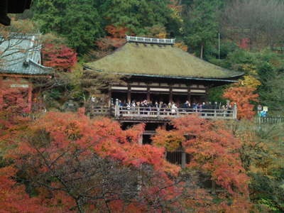 chisama-2011-02-08T00_23_05-1-thumbnail2.jpg