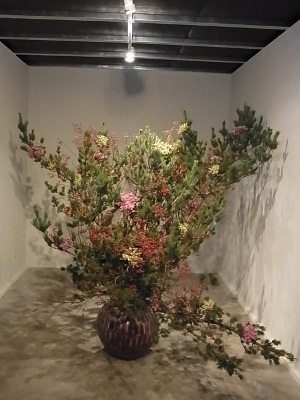 RIMG2712 (300x400).jpg