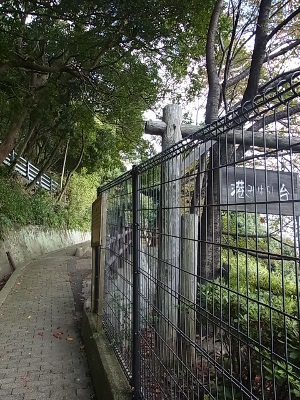 RIMG2835 (300x400).jpg