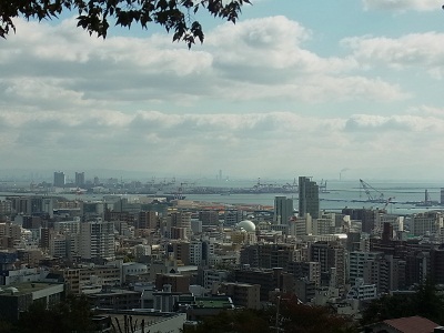 RIMG2833 (400x300).jpg
