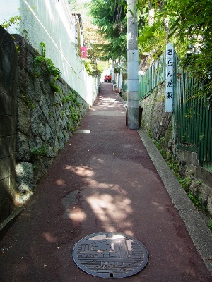 RIMG2809 (300x400).jpg