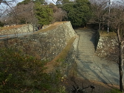 RIMG3005 (400x300).jpg