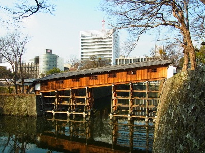 RIMG3041 (400x300).jpg