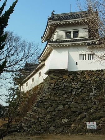 RIMG3003 (338x450).jpg