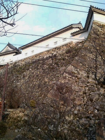 chisama-2010-02-16T01_02_00-3-thumbnail2.jpg