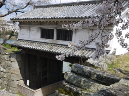P1100659 (450x338).jpg