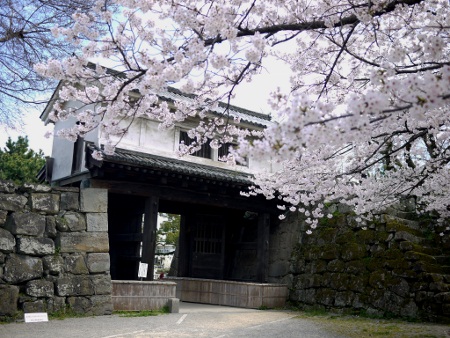 P1100651 (450x338).jpg