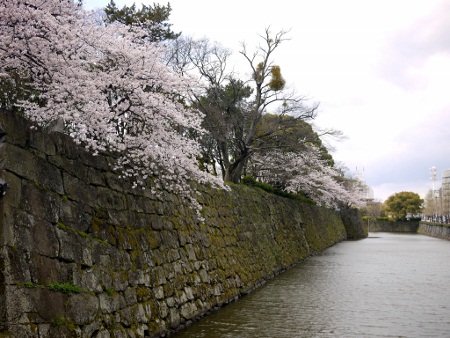 P1100626 (450x338).jpg