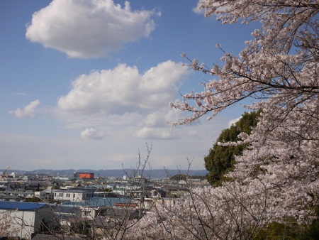 P1100679 (450x338).jpg