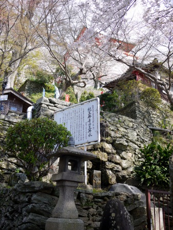 P1100665 (338x450).jpg