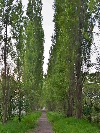 RIMG3782 (338x450).jpg