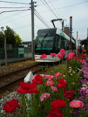 RIMG4132 (300x400).jpg