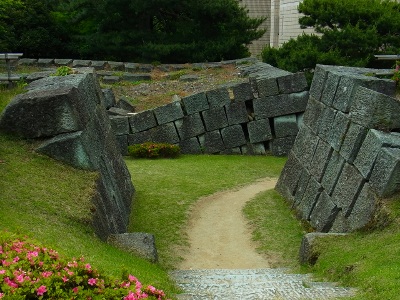 RIMG3954 (400x300).jpg