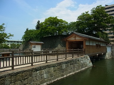 RIMG3934 (400x300).jpg