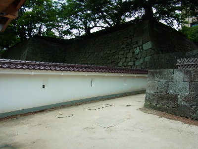RIMG3946 (400x300).jpg