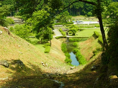 RIMG4058 (400x300).jpg