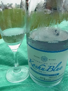 RIMG4485 (263x350).jpg