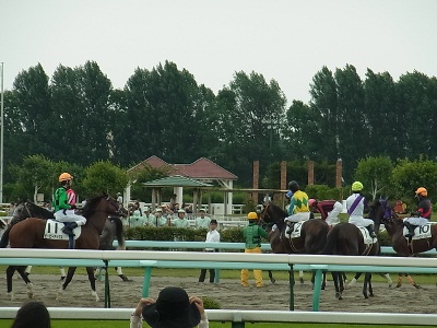 RIMG4486 (400x300).jpg