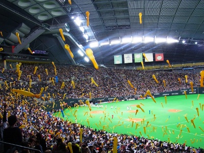 RIMG4802 (400x300).jpg