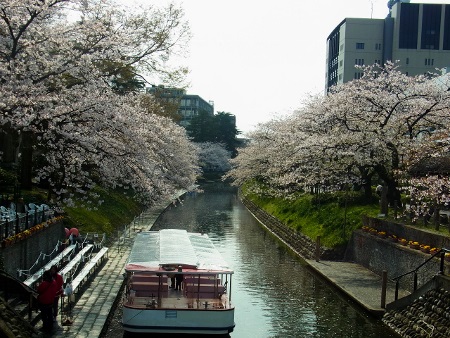 RIMG0107 (450x338).jpg
