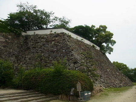 RIMG0305 (450x338).jpg
