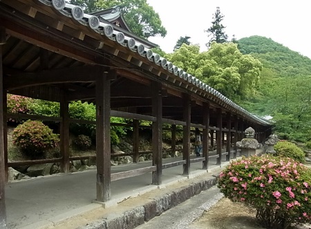 RIMG0357 (450x331).jpg