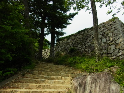 RIMG0360 (500x375).jpg