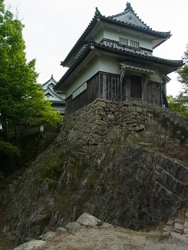 RIMG0406 (375x500).jpg