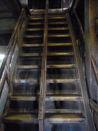 RIMG1058 (338x450).jpg