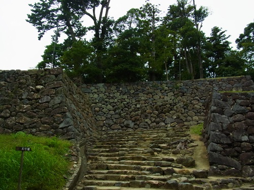 RIMG0940 (500x375).jpg