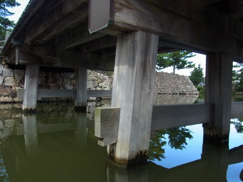 RIMG1097 (500x375).jpg