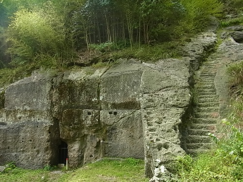 RIMG0822 (500x375).jpg