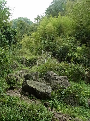 RIMG0811 (375x500).jpg