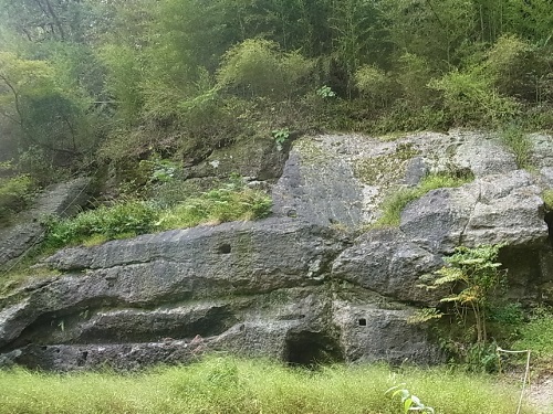 RIMG0819 (500x375).jpg