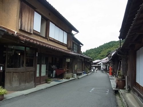RIMG0834 (500x375).jpg